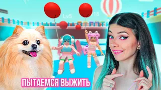 ВЫБЕРИ ПРАВИЛЬНО ЦВЕТ ЧТОБЫ ВЫЖИТЬ  C  @DogGamer1  в РОБЛОКС ➲ Roblox