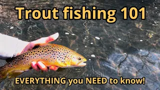 How to Trout Fish using an INLINE SPINNER! (Tips and tricks)