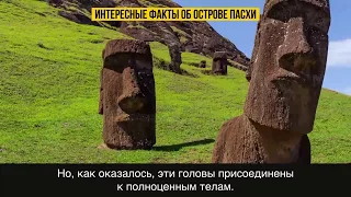 А я ведь догадывался. Ученые Наконец-то Выяснили Правду об Острове. Пасхи.