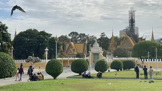Amazing Royal Palace Riverside Park Walking Tour Around | CAMBODIA 2022