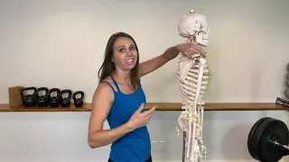 The Importance of the Serratus Anterior