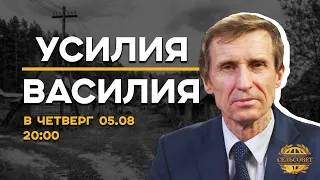 БОРЩЕВИК! это большая беда, или нечаянная удача? // УСИЛИЯ ВАСИЛИЯ