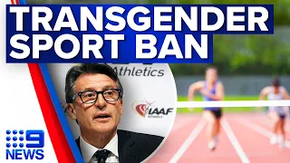 World Athletics Council announces controversial transgender ban | 9 News Australia