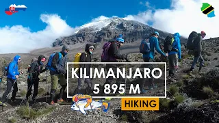 KILIMANJARO (5 895 m) - Climbing the Highest Peak of Africa | 4K | TravelingTunas Expedition 🐟