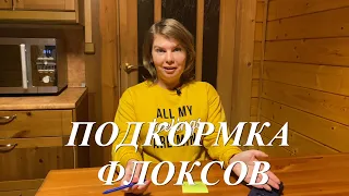 Подкормка флоксов, когда и чем их удобряем или какие флоксы быстро разрастаются