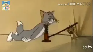 Un'ora di risate con Tom e Jerry