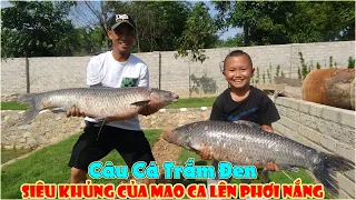 Mao Đệ Câu Cá Trắm Đen Siêu Khủng Của Mao Ca Lên Phơi Nắng Và Cái Kết