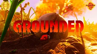 Grounded (2020) Прохождение Часть 2 Строительство дома