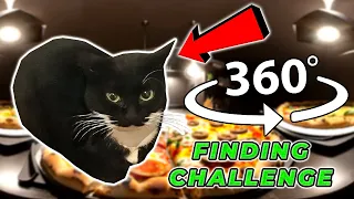 Maxwell The Cat 360° - FIND MAXWELL CAT | VR/360 Video 4K 🔍 😹