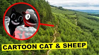 DROHNE überwacht CARTOON CAT & CARTOON SHEEP um 3 UHR Mittags!! | KAMBERG TV