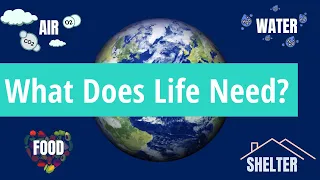 Science Questions: What Does Life Need?