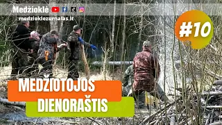 Bebrų medžioklė su šunimis urvuose. Medžiotojos dienoraštis #10