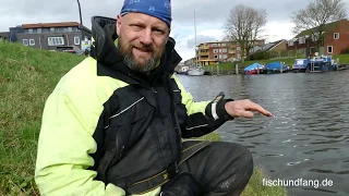 Matze Koch: Futtertest und Methodfeeder - Matzes Mätzchen 04-2019