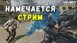 БЕРЕМ ТОМ 1 КОРОЛЕВСКАЯ БИТВА Call of Duty Mobile+Розыгрыш