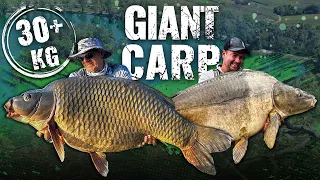 Gábor Döme – The Lake of Giant Carp, Zajarki