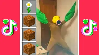 TIK TOK MINECRAFT COMPILATION 8 🍀 MEJORES MOMENTOS + FAILS + RISA + GRACIOSOS.