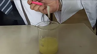 DNA Extraction From Banana