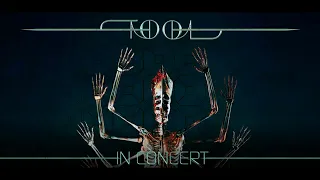 TOOL live,  Nov 21, 2023