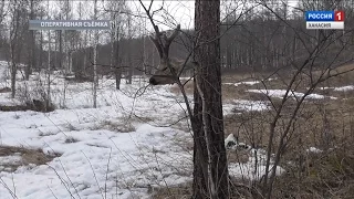 В Орджоникидзевском районе вновь поймали браконьеров с тушей косули. 13.04.2017