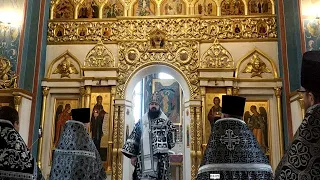 Проповедь епископа Борисовского и Марьиногорского Амвросия .