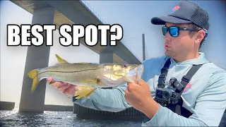 Fishing The Skyway Bridge And The Best Spots In Tampa Bay!