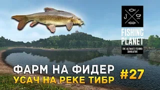 Fishing Planet #27 - Фарм на фидер. Усач на Реке Тибр