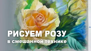 АКВАРЕЛЬ+ПАСТЕЛЬ НА БУМАГЕ CANSON MI TEINTES TOUCH