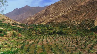 Ticrapo Documental