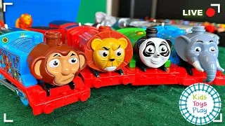 Kids Toys Play Thomas and Friends Trackmaster Livestream