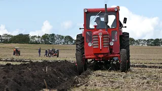 Volvo BM 350 Boxer in the field ploughing w/ 3-furrow Överum Plough | DK Agriculture