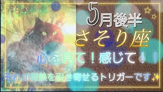 【５月後半🍀】蠍座さんの運勢🌈心を見て！感じて！！それが情熱を発動させるトリガーです✨