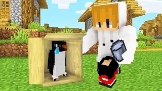 Saving A BABY PENGUIN in Minecraft!