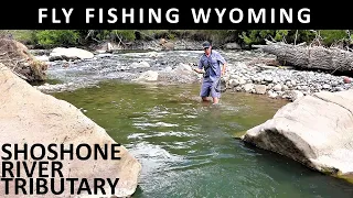 Fly Fishing Wyoming's Shoshone River Tributary in August-Trailer for Prime Video [Episode #100]