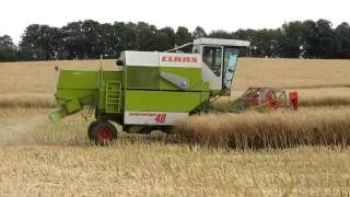 Mähdrescher Claas Dominator 48 in Aktion