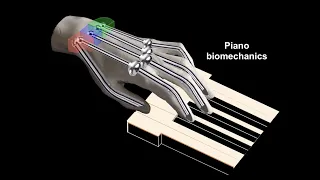 4. The Chopin Method: the fingers