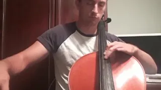 SOS (Dimash cello cover)