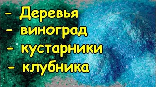 Обработка ЖЕЛЕЗНЫМ/МЕДНЫМ купоросом деревьев/винограда/кустарников/клубники, сада весной и осенью.