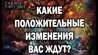 КАКИЕ ПОЛОЖИТЕЛЬНЫЕ ИЗМЕНЕНИЯ ВАС ЖДУТ🌔🔥💯 ГАДАНИЕ РАСКЛАД ТАРО