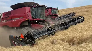Barley in the wind - Grain Hogs S02EP16