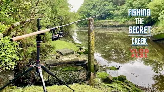 I Found A NEW Fishing Spot | River Plym Fishing Adventures | #Vlog131