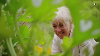 Gardeners' World - 2023 Full Episode 246 -Full  Season 🍀Winter Specials Episode 246