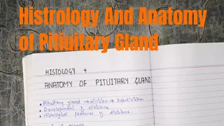 Histology and anatomy of Pituitary Gland part 1 #endocrinehistology #endocrineanatomy