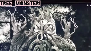 Tree Monster (From Hell It Came - 1957) - Fair Use