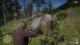 Red Dead Redemption Horse Bravery Test - Grizzly Edition