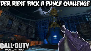 WaW DER RIESE pack a punch every gun challenge