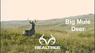 The Chronicles: Hunting Mule Deer in Nebraska