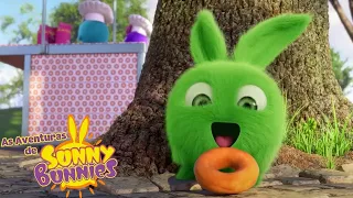 COMIDA E JOGOS | As Aventuras de Sunny Bunnies | Desenhos Animados Infantis