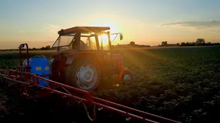 Klimatyczne opryski na ziemniaki z ferdusiem :) Higieniewo w Obiektywie