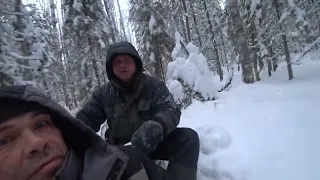 Проверка капканов и силков(петель)Неделя в зимовье/1 серия