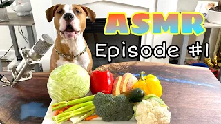 ASMR Pitbull Reviewing Veggies [1] heymynamesluna